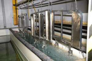 Elecroplating