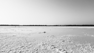 Salinity